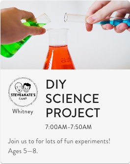 Virtual Science Project